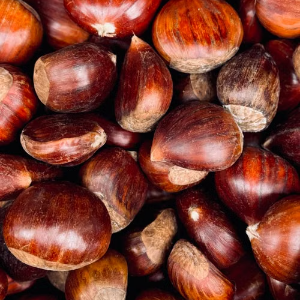 Châtaignes du bois de Larque prêtes à être transformées en confiture