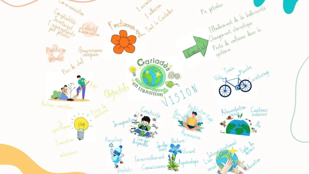 Dessin de l'organisation en projet de Carladès en transition