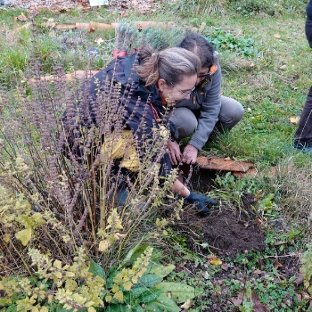 Chantier participatif au jardin de Simone à Thiézac