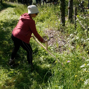 Initiation à la faux au jardin forêt