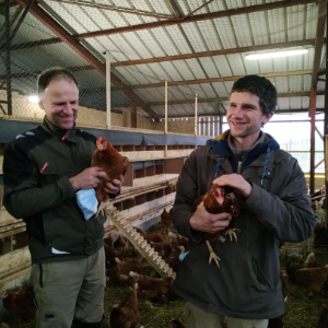 Les poules et les oeufs frais et locaux du GAEC de Puybasset dans le Cantal