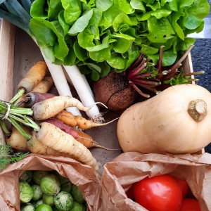 Un panier de fruits et légumes du jardin de Trionac
