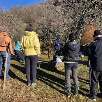 Soin des arbres fruitiers au jardin de Simone