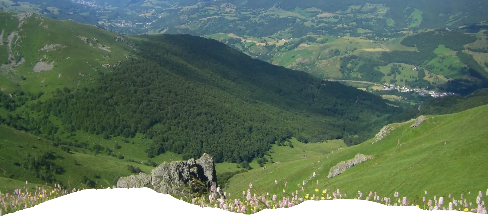 Les paysages du Cantal où agit Carladès en transition